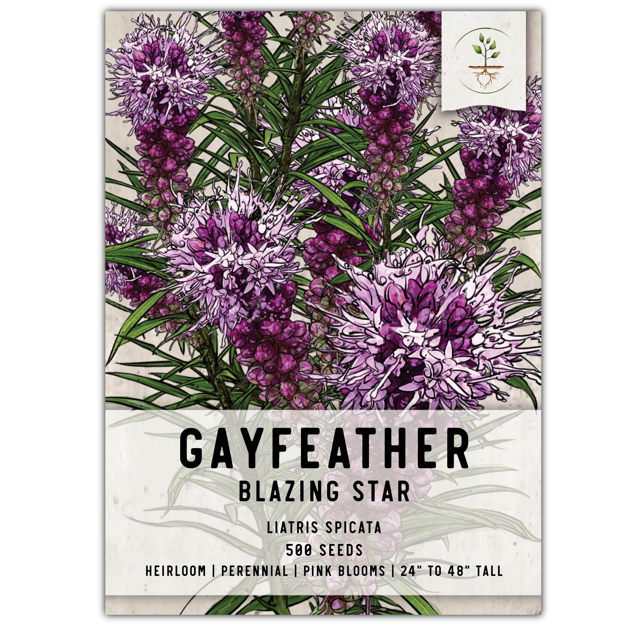 Seed Needs Gayfeather seeds pack showing vibrant magenta blooms for pollinator gardens