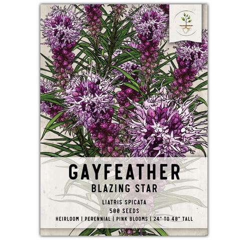 Seed Needs Gayfeather seeds pack showing vibrant magenta blooms for pollinator gardens