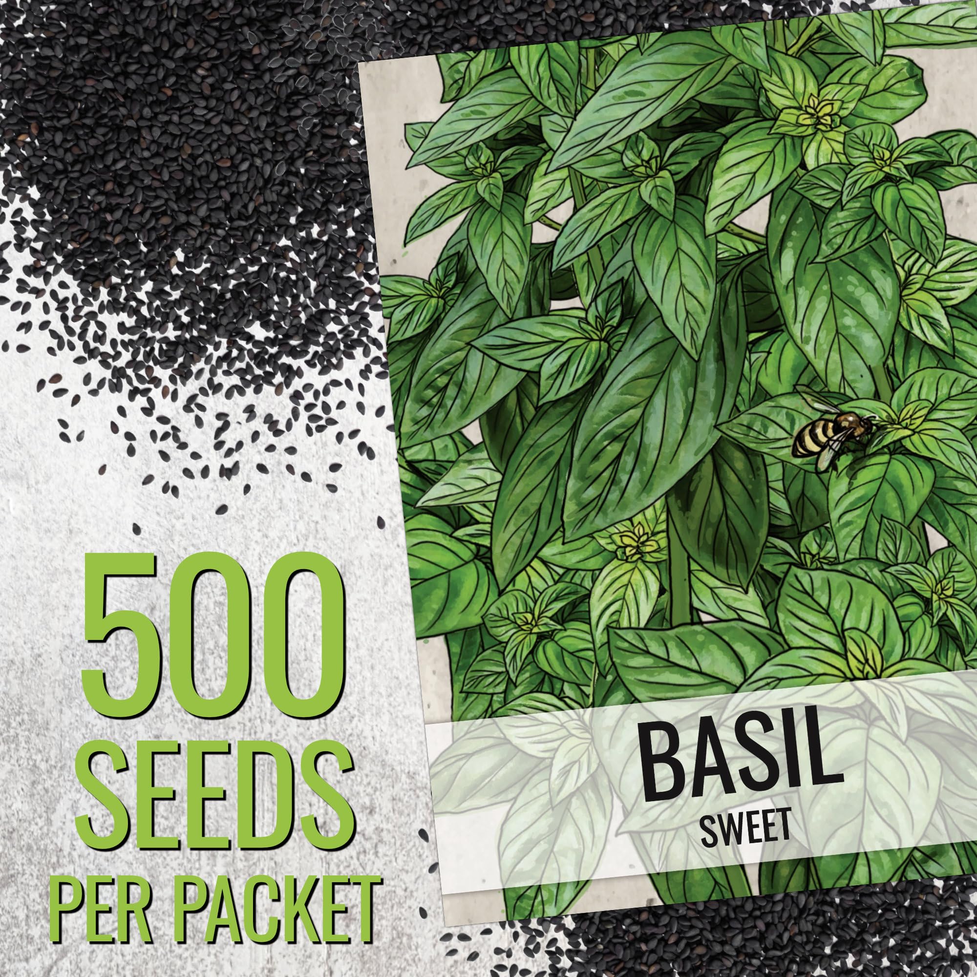 Seed Needs Genovese basil potted herb garden suited for compact indoor growing.