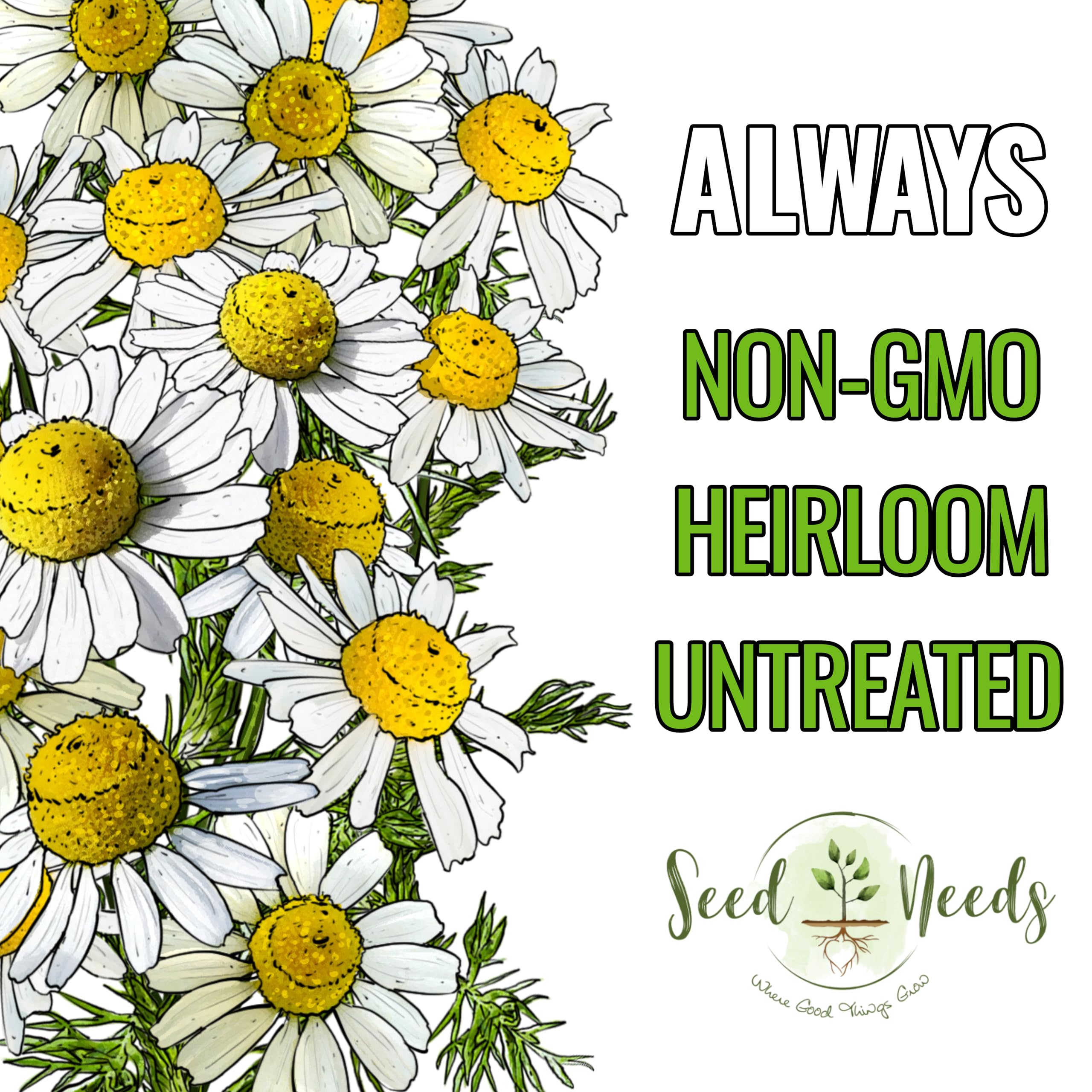 Seed Needs German Chamomile leaves provide soothing aroma for homemade infusions.