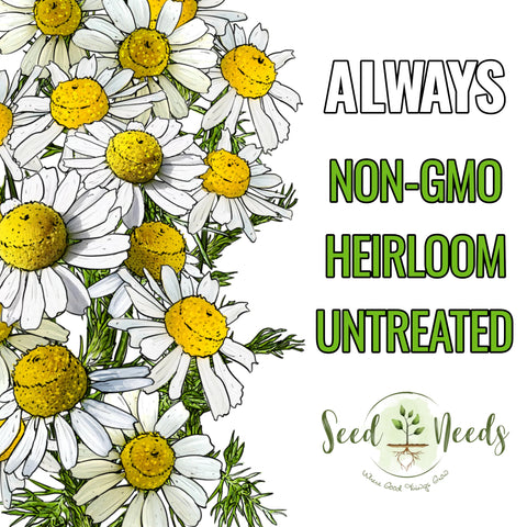 Seed Needs German Chamomile leaves provide soothing aroma for homemade infusions.