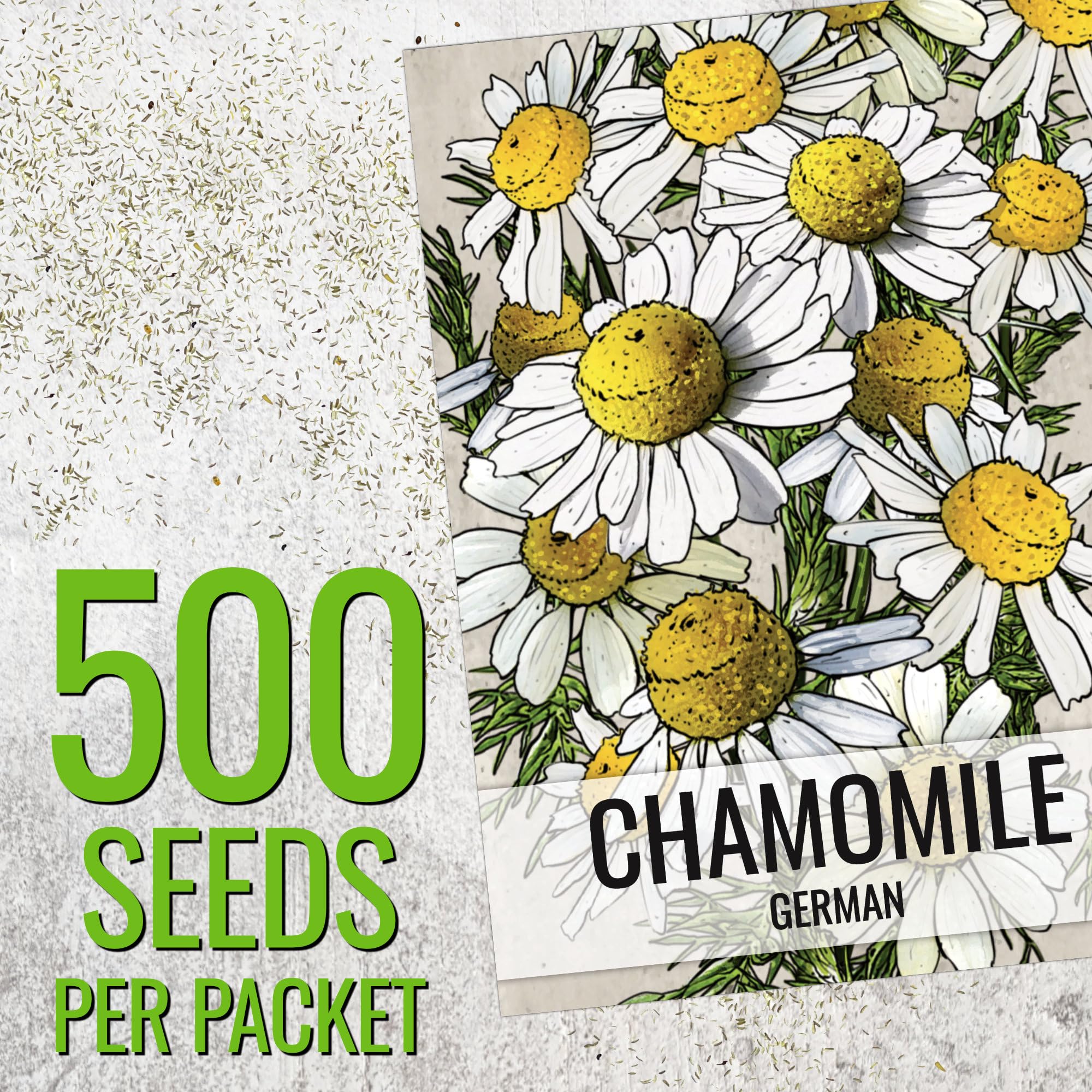 Seed Needs German Chamomile seeds open-packet showing sowing details for eager gardeners.