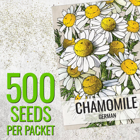 Seed Needs German Chamomile seeds open-packet showing sowing details for eager gardeners.