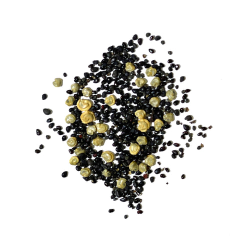 Seed Needs germination-ready cactus seeds help you start sprouts in days