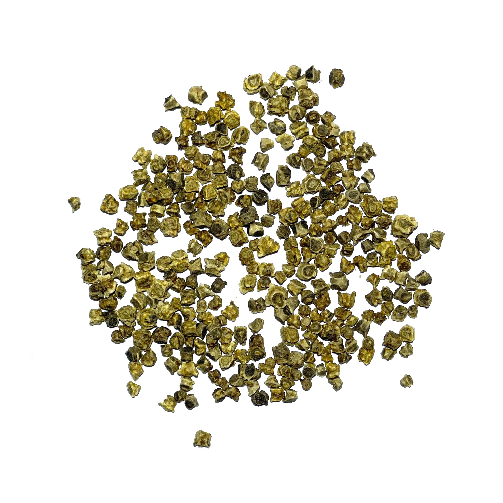 Seed Needs Golden Detroit beet harvest stage showing 50–55 days maturity