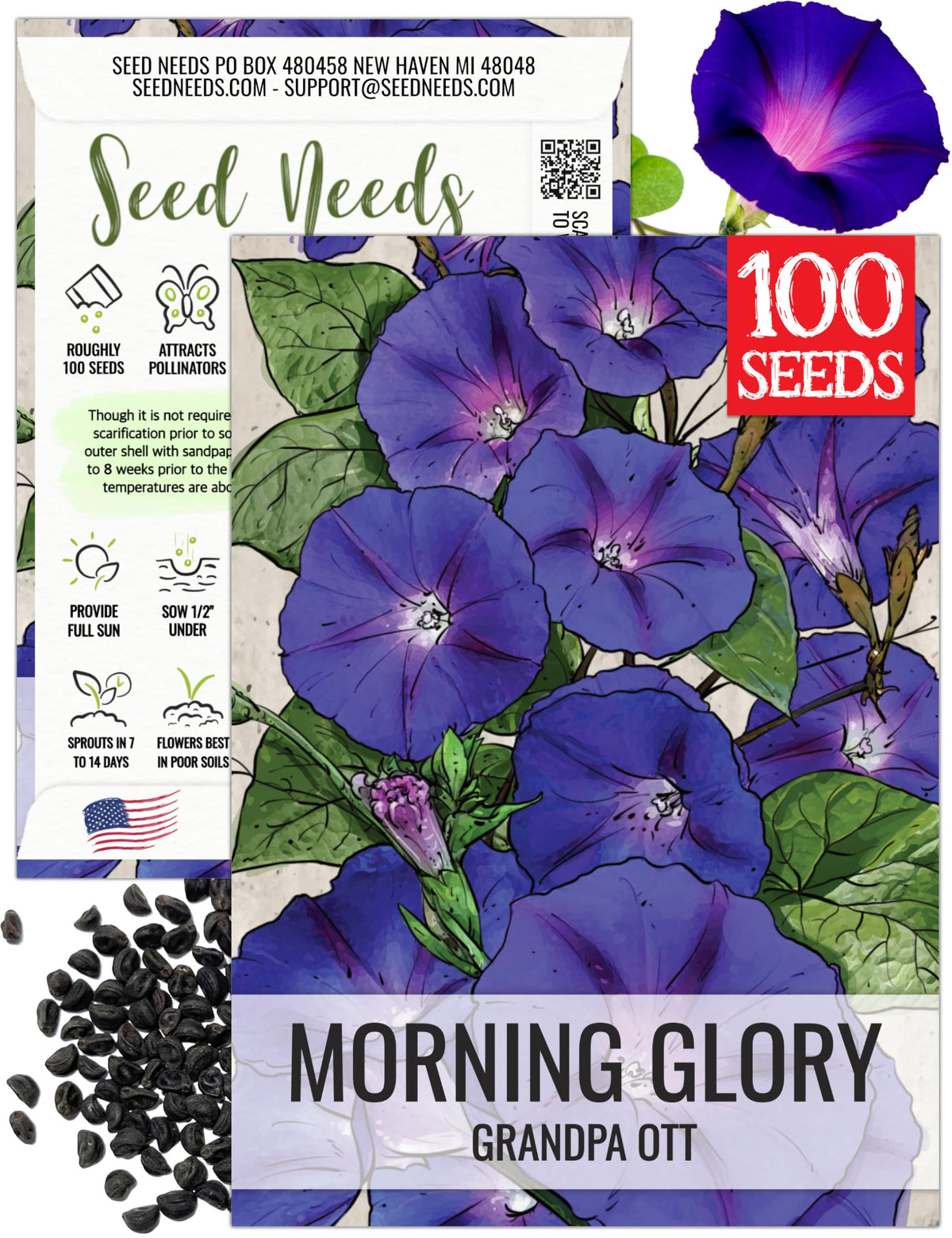 Seed Needs Grandpa Ott Morning Glory deep indigo bloom for a privacy screen.