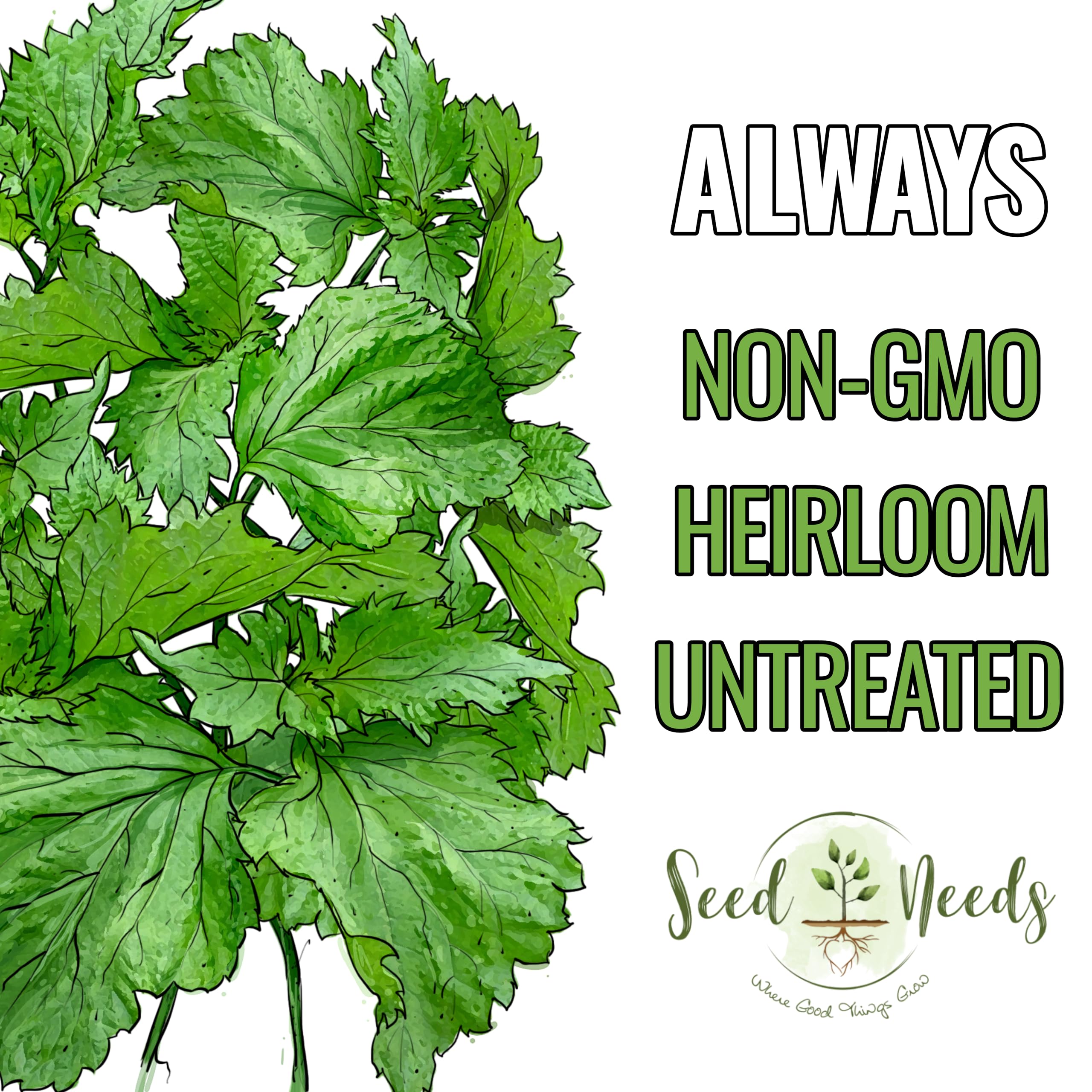 Seed Needs Green Perilla outdoor garden bed – flavorful leaves possible