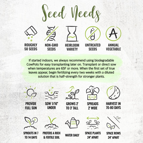 Seed Needs freshness-packaging ensures seeds stay viable and dry for sowing.
