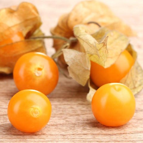 Seed Needs open-pollinated-heirloom tag highlights genetic stability and seed-saving potential.