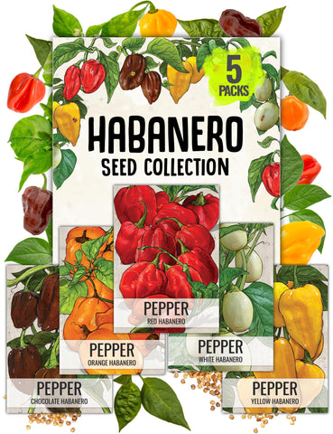Seed Needs Habanero seed packet front with heirloom illustration and key details.