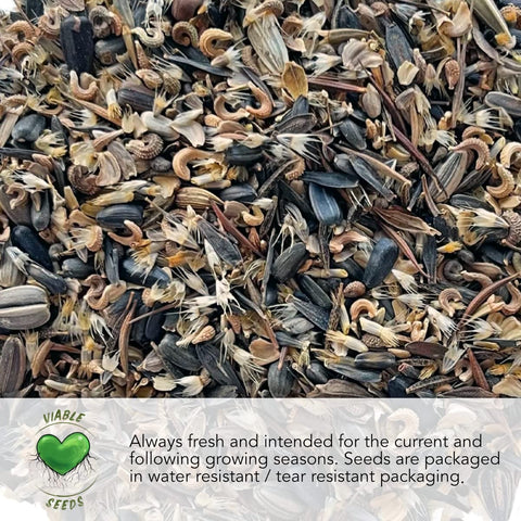 Seed Needs harvest-ready lettuce leaves image shows quick harvest possibilities.