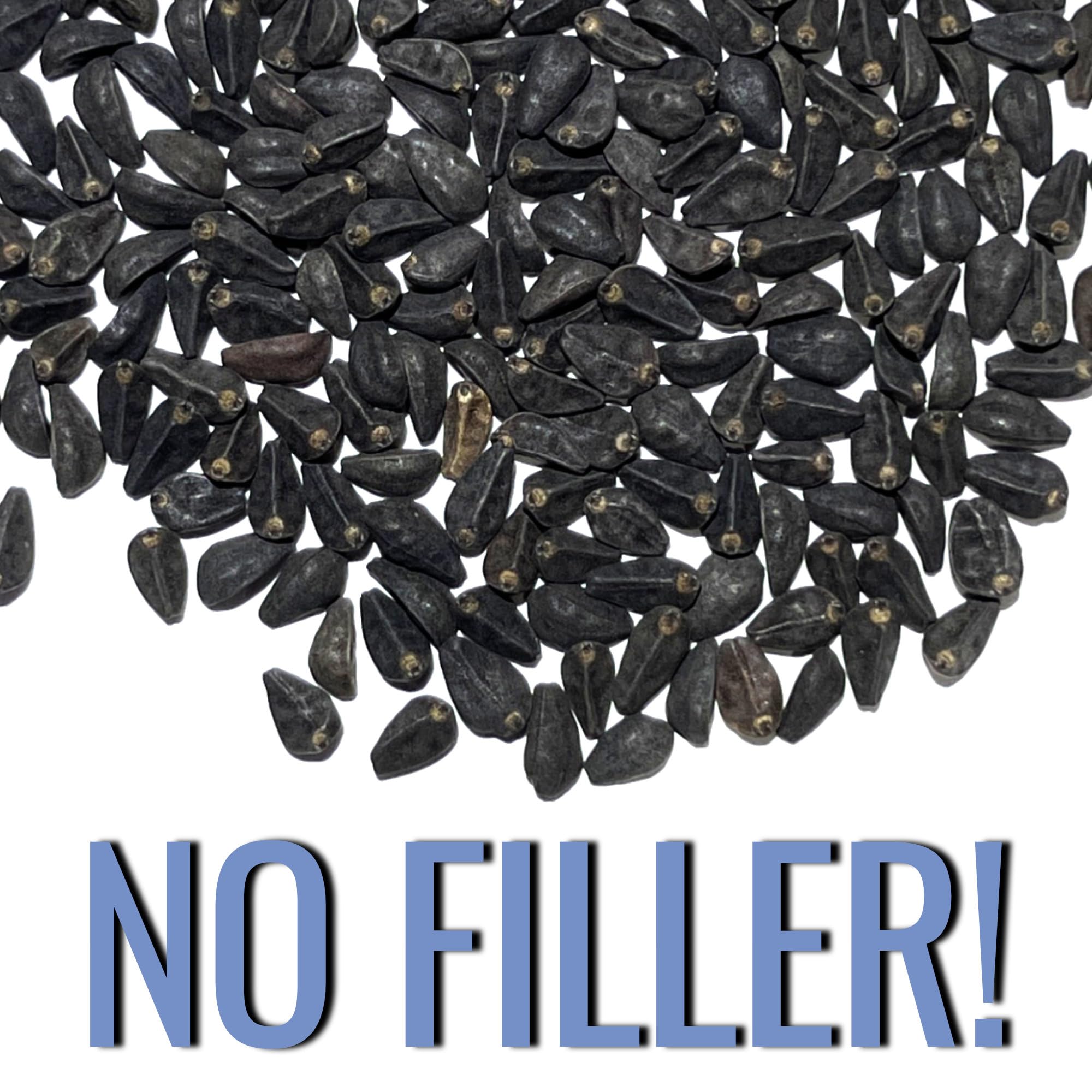 Seed Needs Heavenly Blue Morning Glory open-pollinated heirloom seeds.