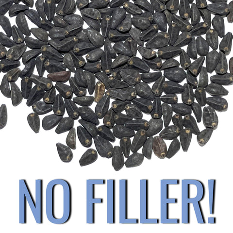 Seed Needs Heavenly Blue Morning Glory open-pollinated heirloom seeds.