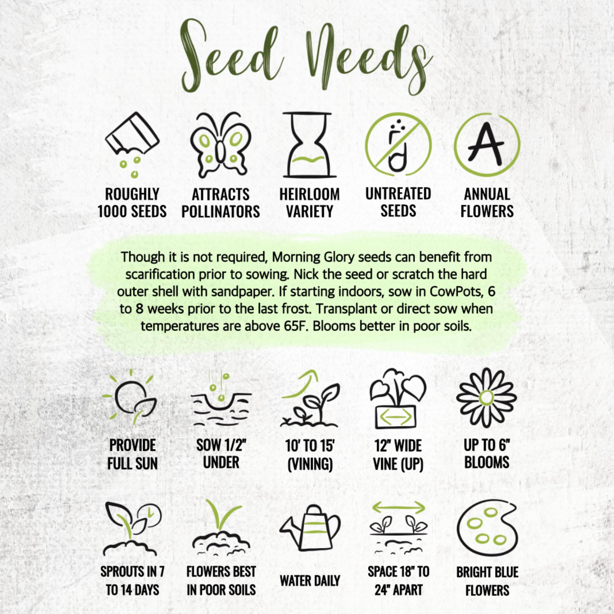 Seed Needs Heavenly Blue Morning Glory germination guidance from growers.