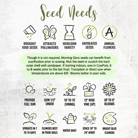 Seed Needs Heavenly Blue Morning Glory germination guidance from growers.