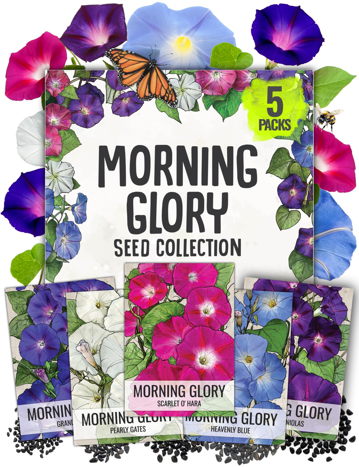 Seed Needs Heavenly Blue Morning Glory seeds packet for vibrant sun-loving climbers.