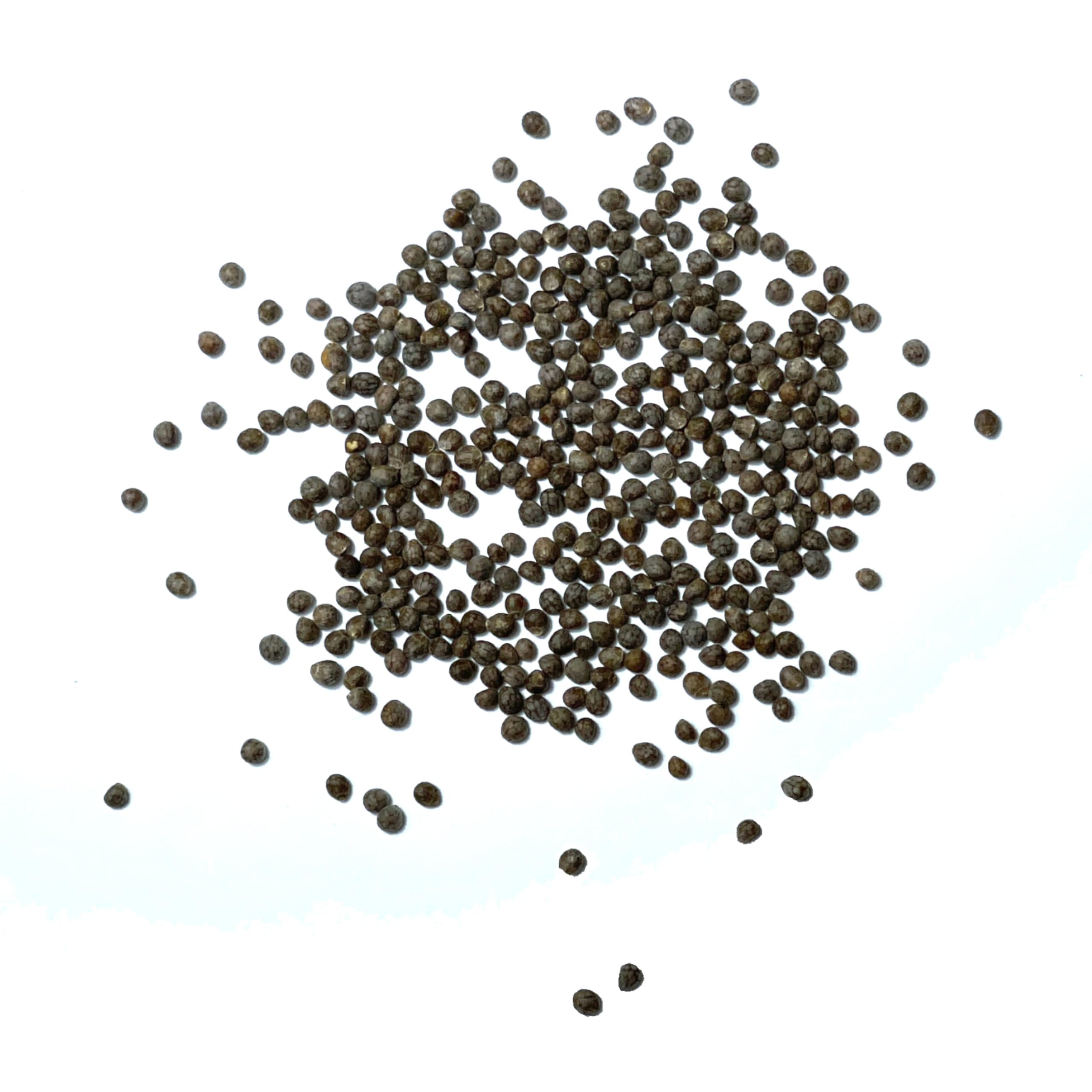 Seed Needs Heirloom Non-GMO label – seed purity for reliable germination