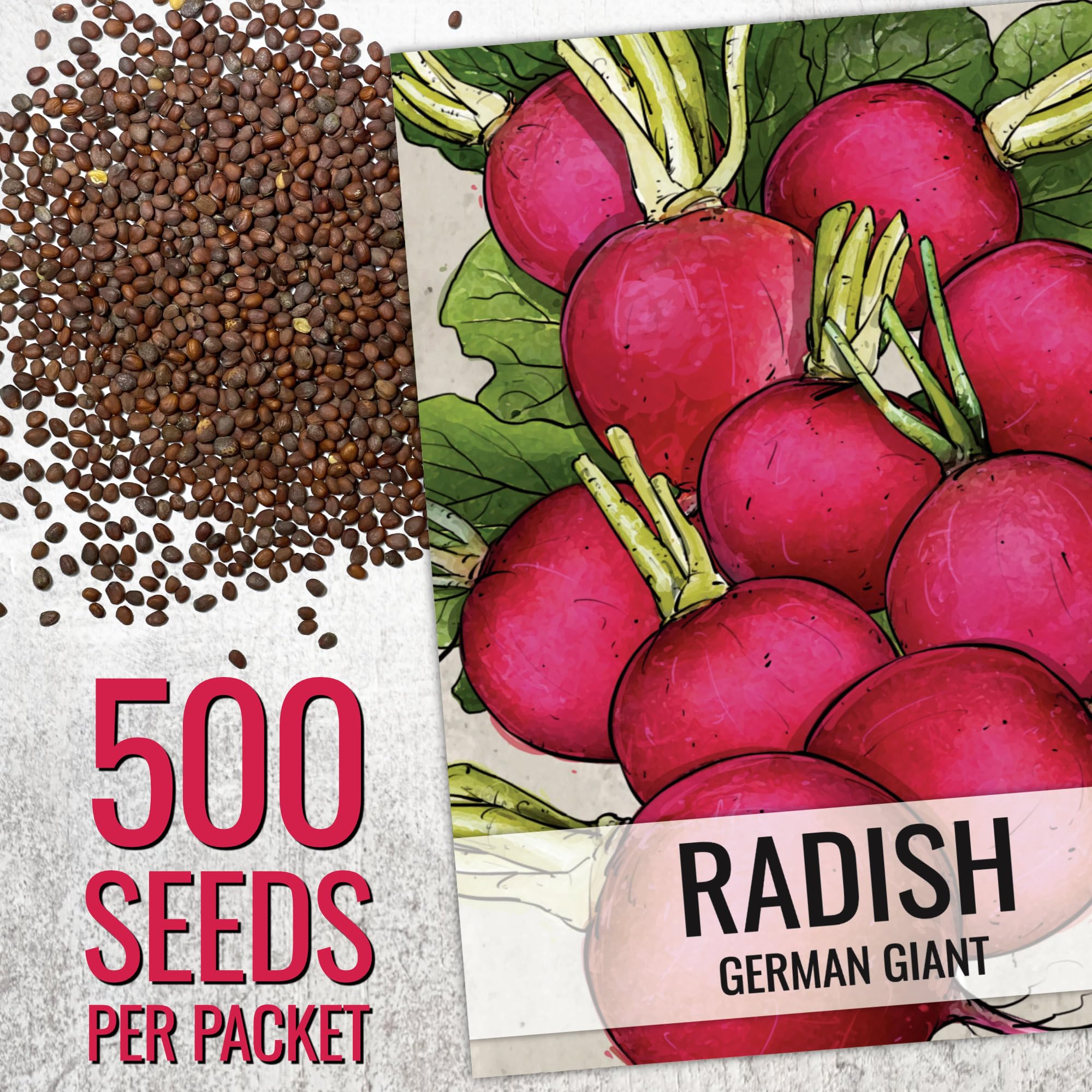 Seed Needs heirloom radish seed illustration on packet signals authentic flavor and traditional cultivation.