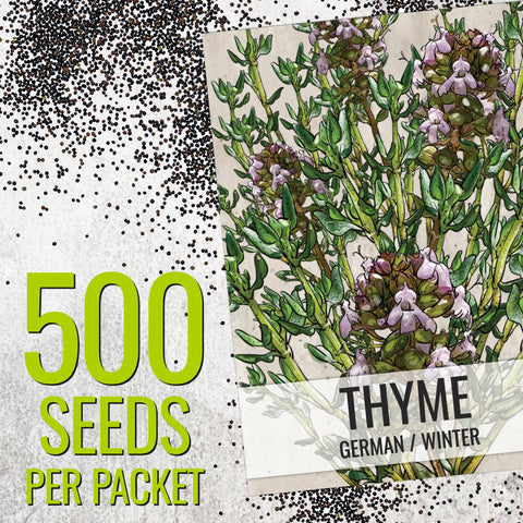 Seed Needs heirloom seed packets close-up, showcasing quality packaging and sowing tips.