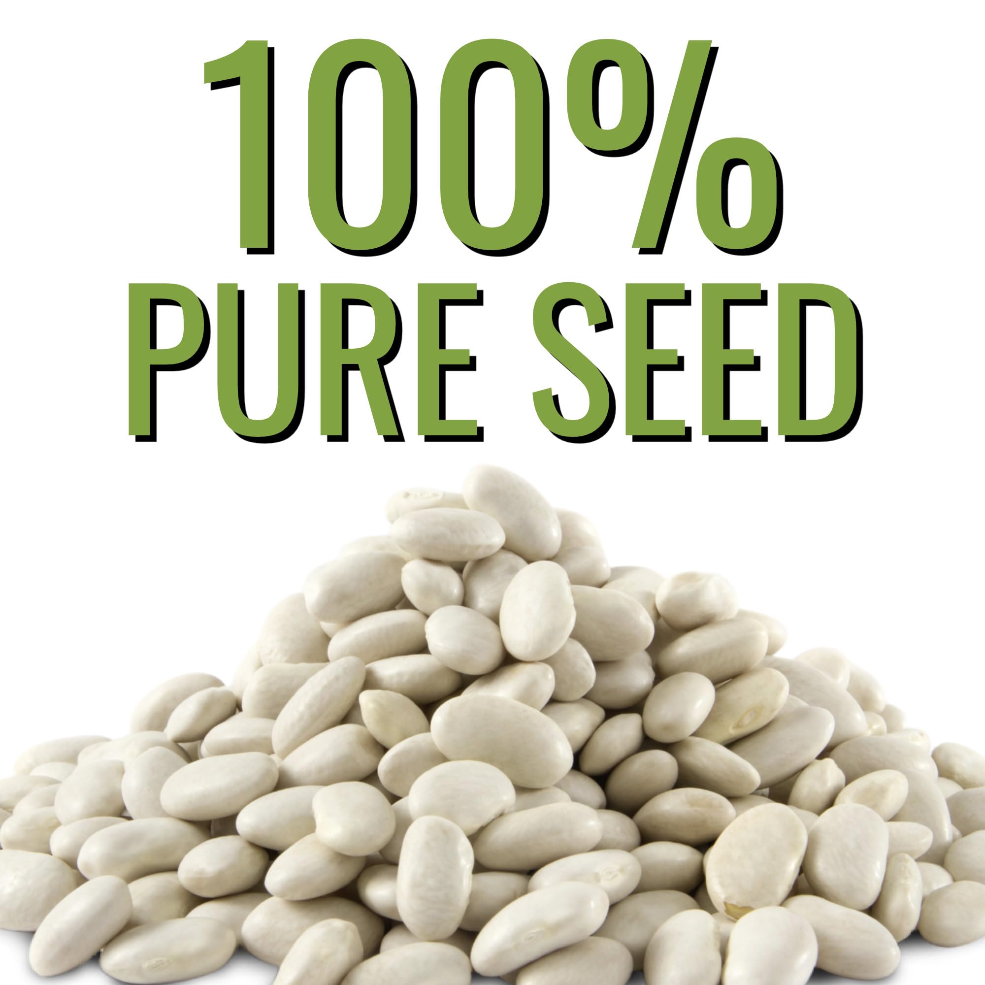Seed Needs Henderson Lima beans compact bush for small-space gardens