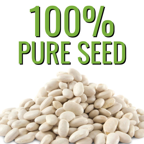 Seed Needs Henderson Lima beans compact bush for small-space gardens