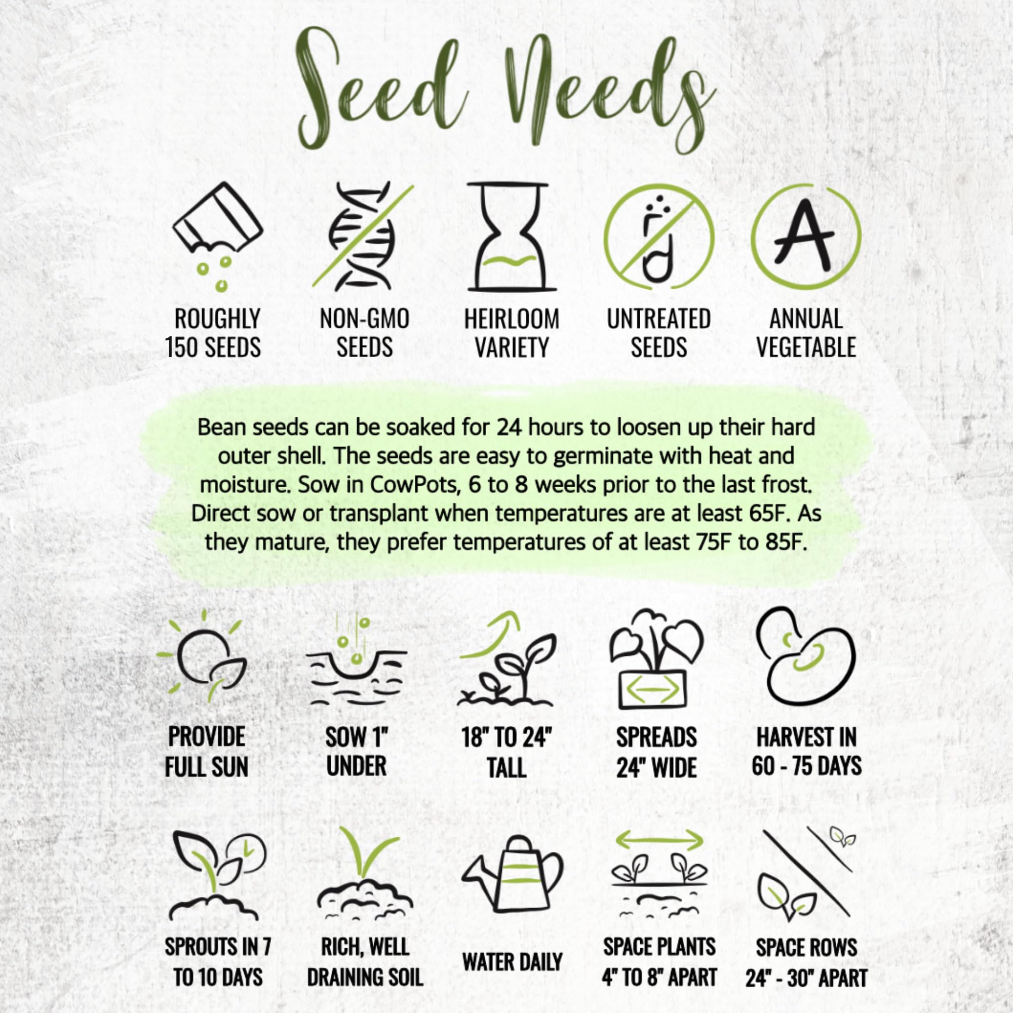 Seed Needs Henderson Lima beans non-GMO heirloom seeds for reliable harvests