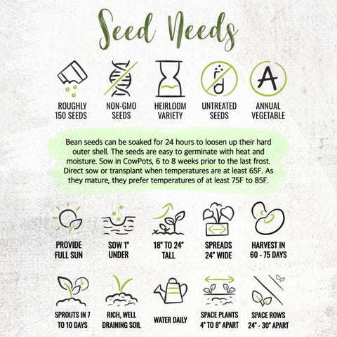 Seed Needs Henderson Lima beans non-GMO heirloom seeds for reliable harvests