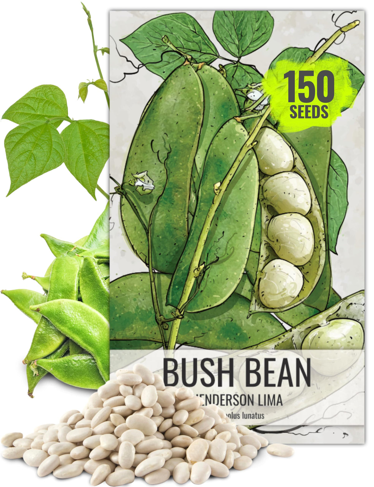 Seed Needs Henderson Lima beans in early harvest pods on a healthy plant
