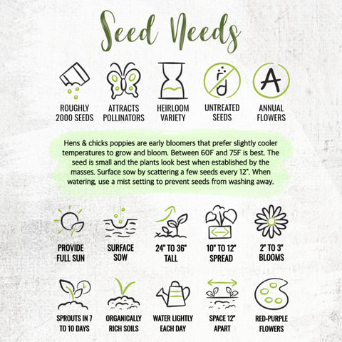 Seed Needs Hens and Chicks Poppy seeds shown for baking and culinary use