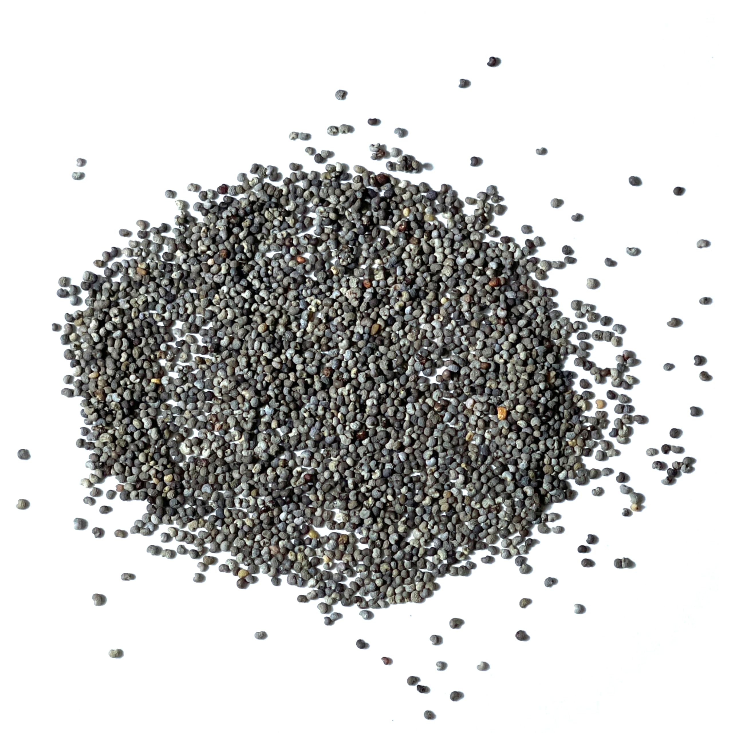 Seed Needs Hens and Chicks Poppy seeds open-pollinated heritage on the packet