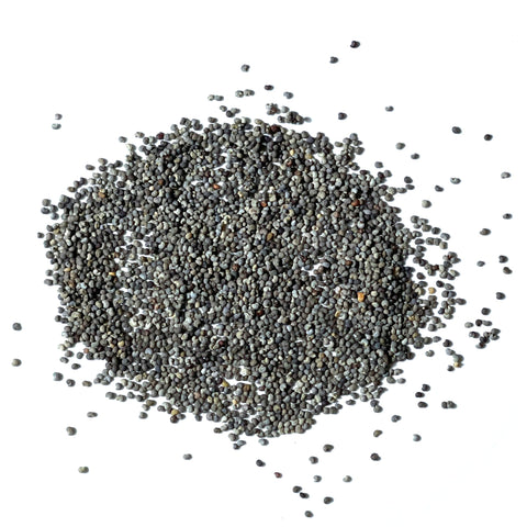 Seed Needs Hens and Chicks Poppy seeds open-pollinated heritage on the packet