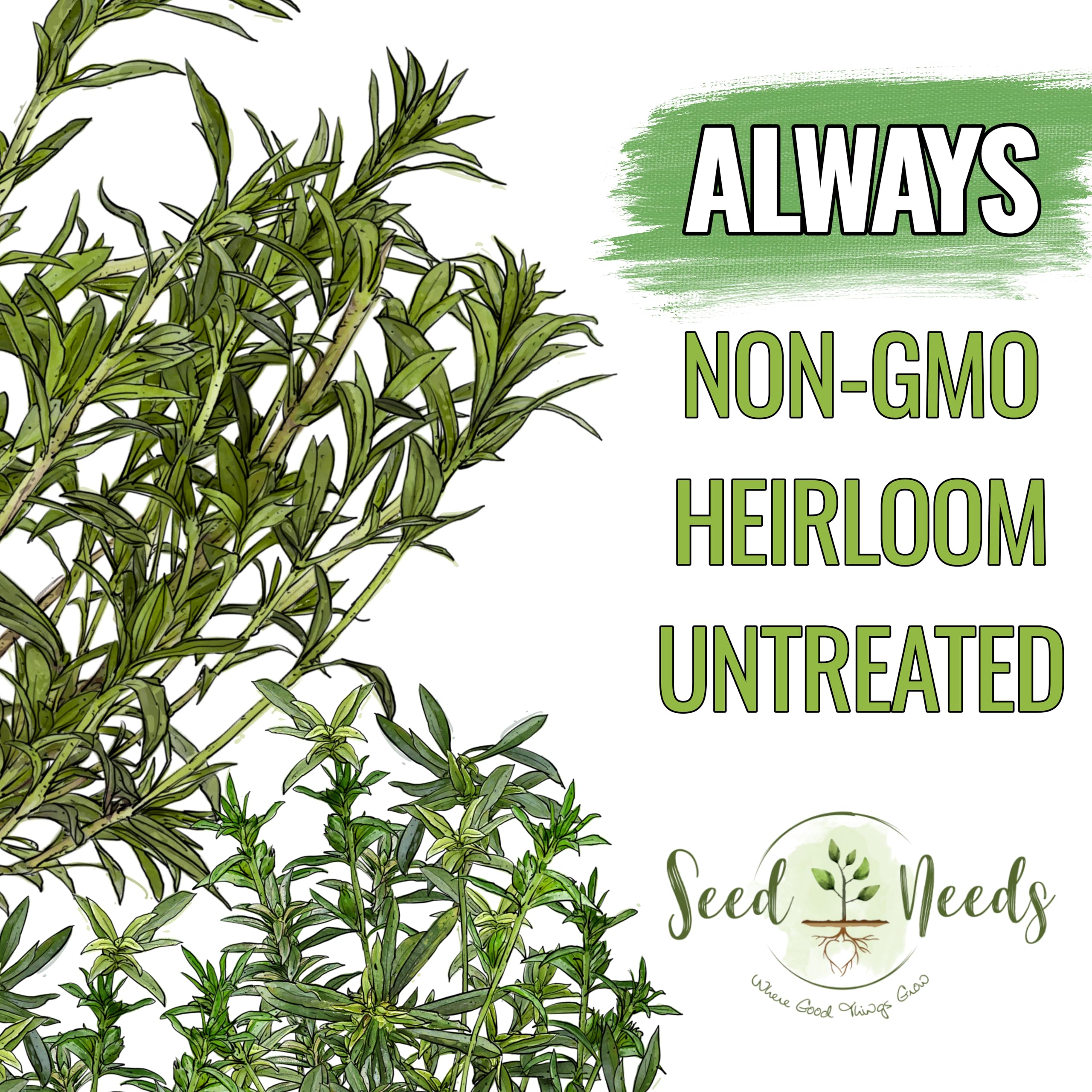 Seed Needs herb seed packaging illustration highlights freshness and germination reliability