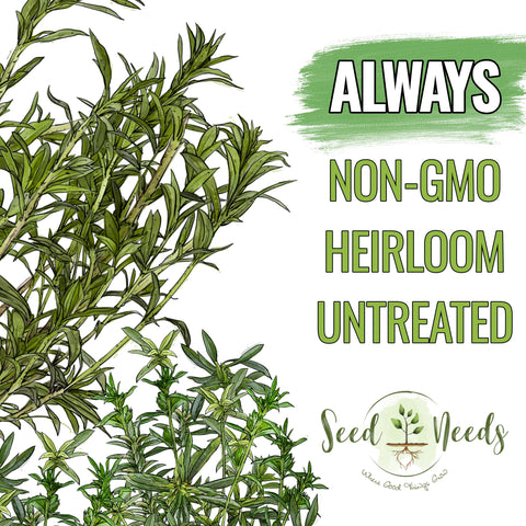 Seed Needs herb seed packaging illustration highlights freshness and germination reliability