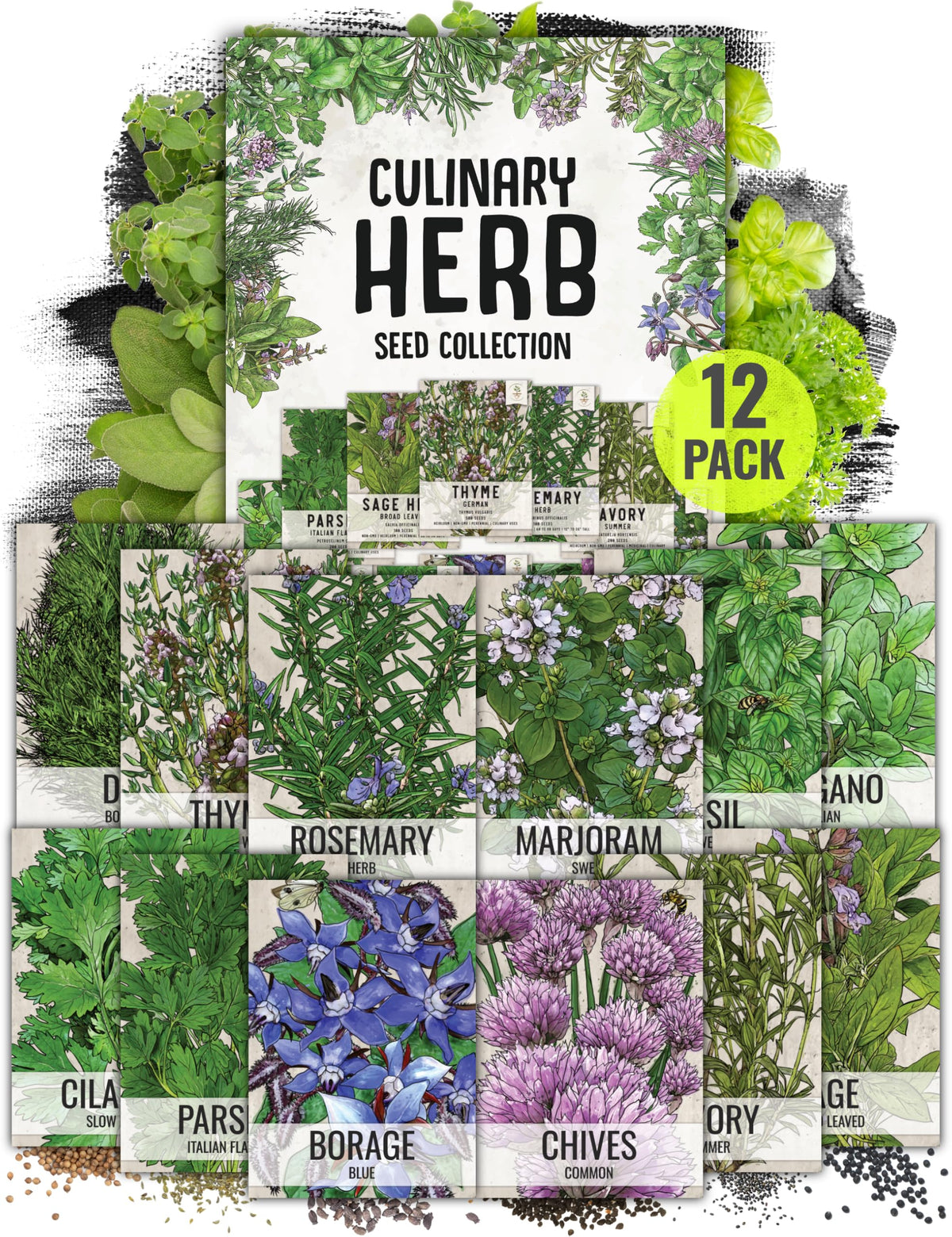 Seed Needs herb seeds variety pack front cover for easy indoor gardening.
