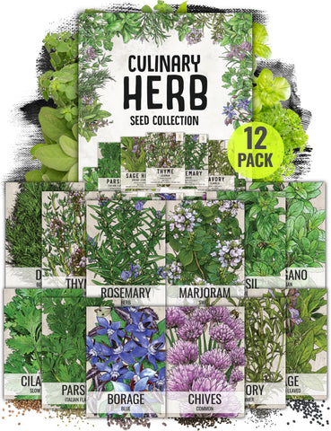 Seed Needs herb seeds variety pack front cover for easy indoor gardening.