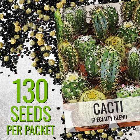 Seed Needs heritage cacti seeds pack photo emphasizes diverse plant possibilities indoors