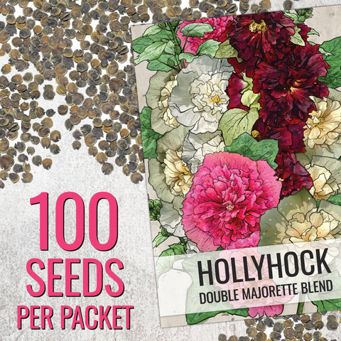 Seed Needs hollyhock bloom closeup highlights vibrant petals and tall garden focal point