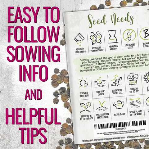 Seed Needs Hollyhock flowers attract pollinators in a garden setting.