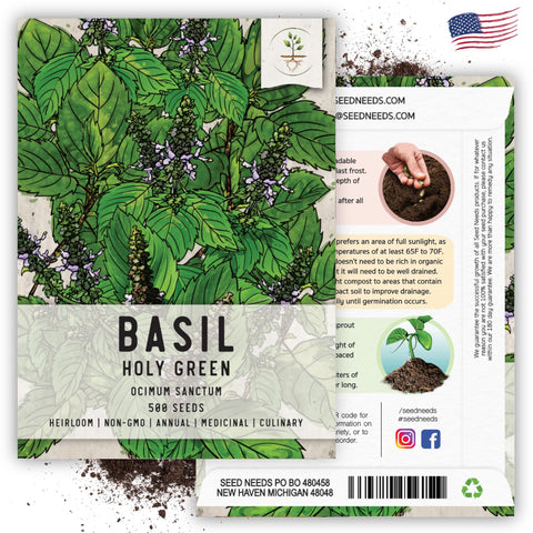 Seed Needs Holy Basil harvest leaves ideal for tea, cooking, and aromatics.
