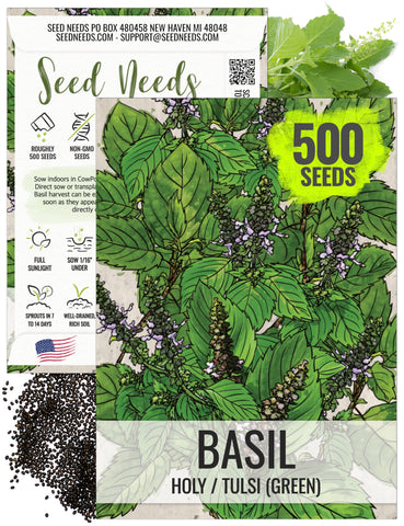 Seed Needs Holy Basil Tulsi seeds pack for starting an easy, fragrant herb garden.