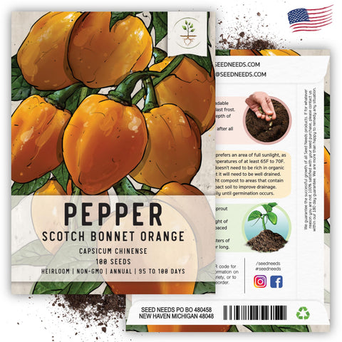 Seed Needs home garden outdoor planting scene encouraging year-round growing.