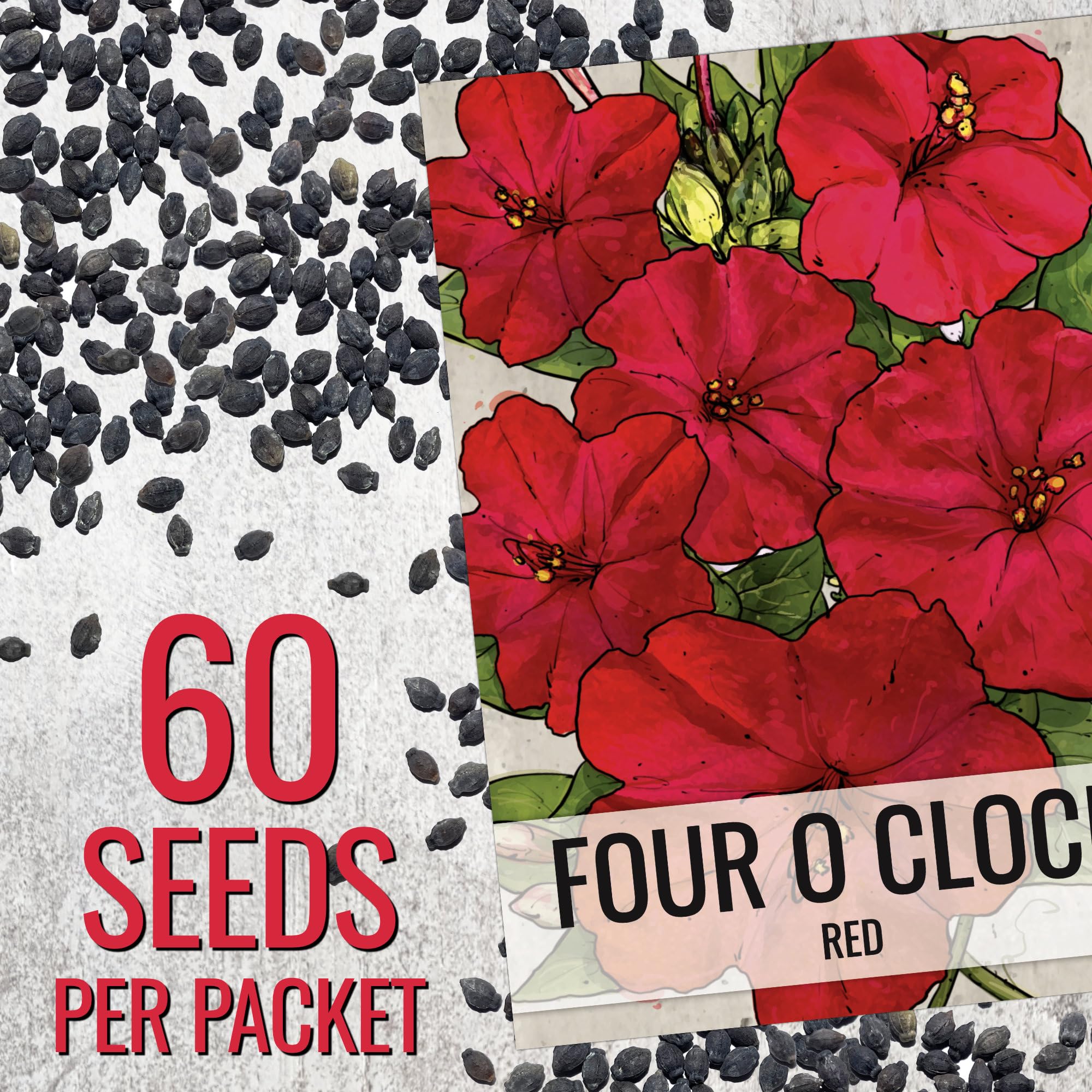 Seed Needs tubular blooms attract hummingbirds in the garden.