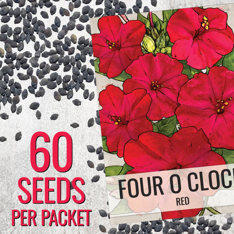 Seed Needs tubular blooms attract hummingbirds in the garden.