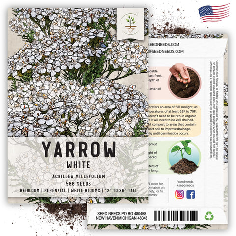 Seed Needs illustrated seed packet – clear sowing instructions on the back.