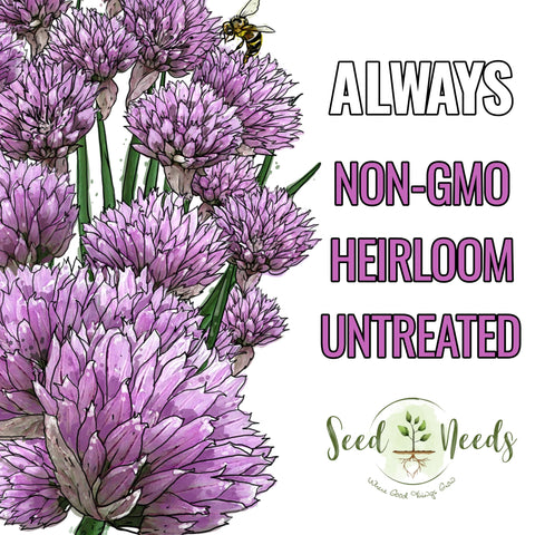 Seed Needs indoor herb garden with chives shows compact container-friendly growth.
