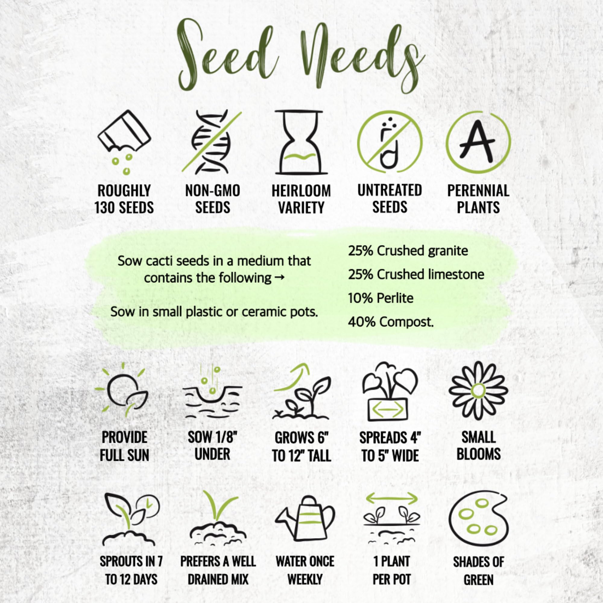Seed Needs indoor-office cacti seeds ideal for small spaces and desk plant setups