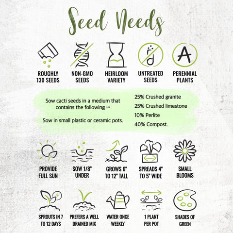 Seed Needs indoor-office cacti seeds ideal for small spaces and desk plant setups