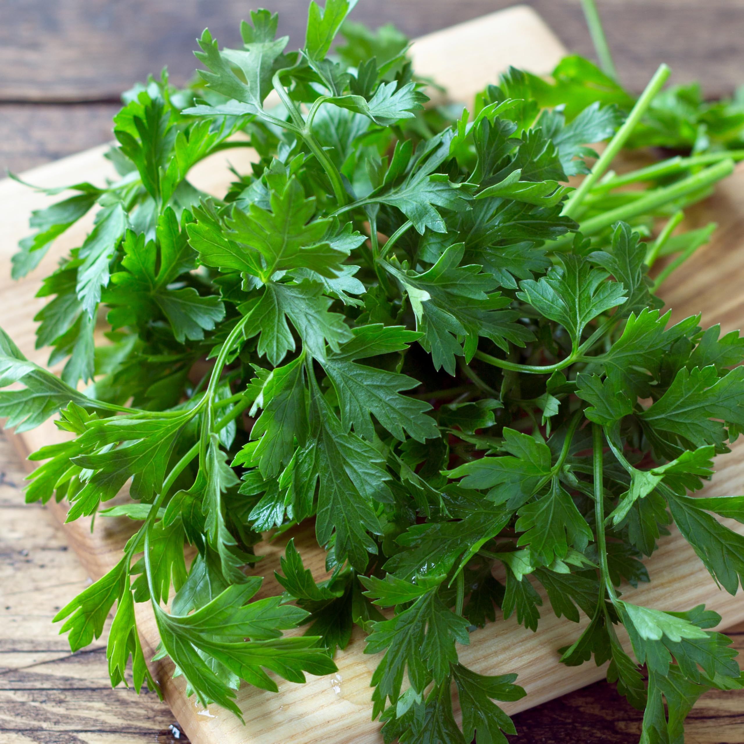 Seed Needs parsley leaves used as fresh garnish and flavor.