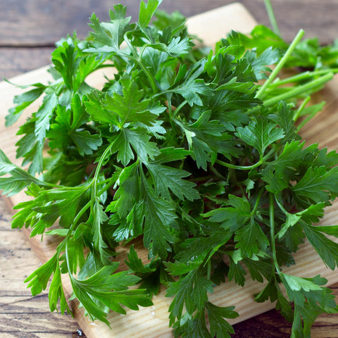 Seed Needs parsley leaves used as fresh garnish and flavor.