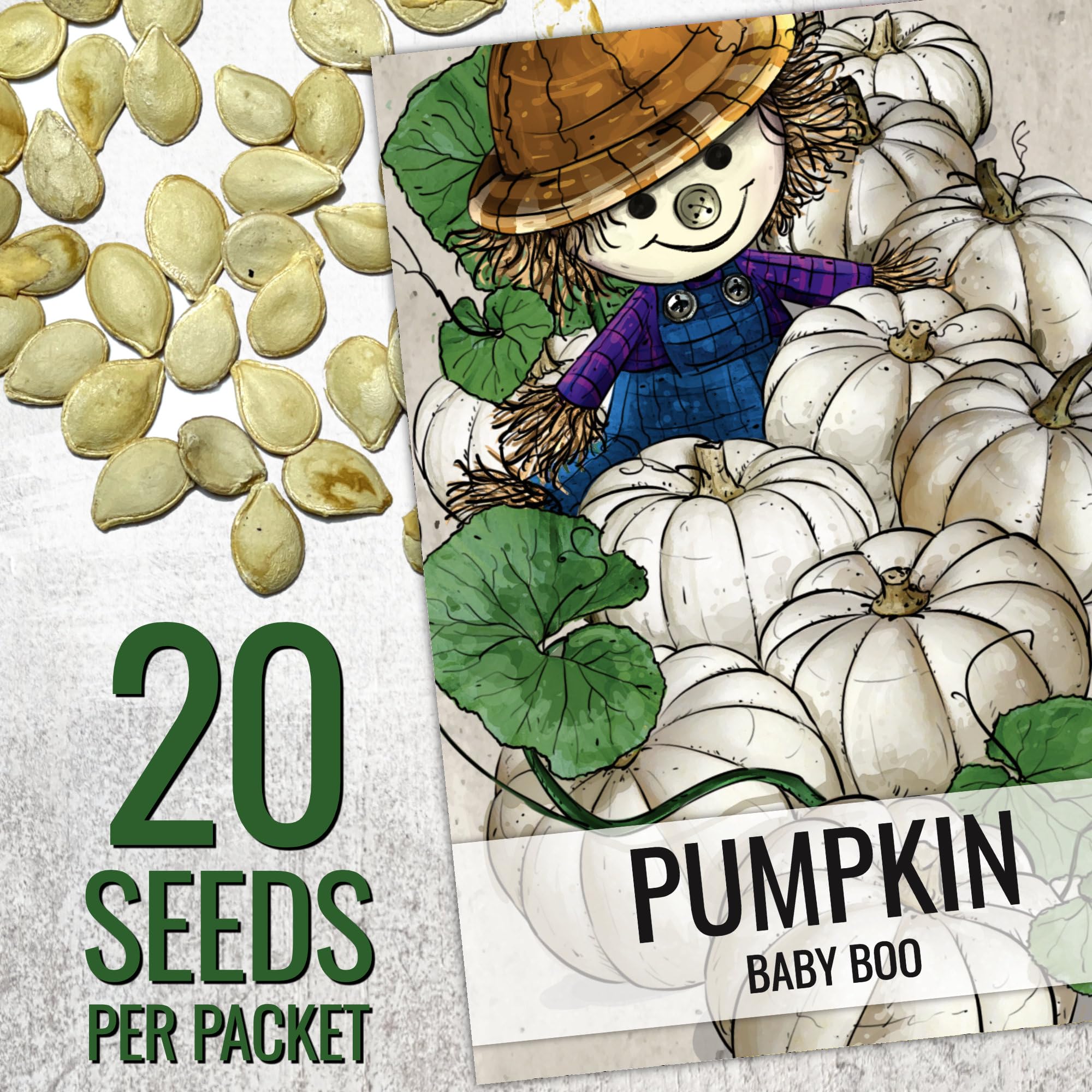 Seed Needs Jack Be Little pumpkin fruit close-up showing bright orange mini pumpkins